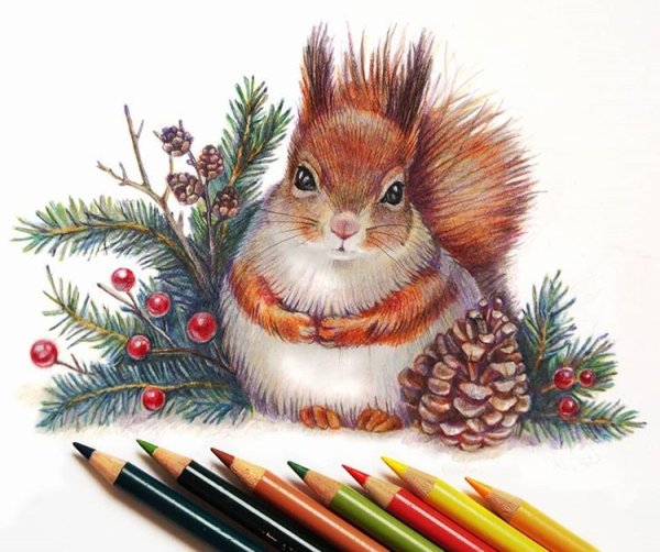 Новогодняя Белочка рисунок