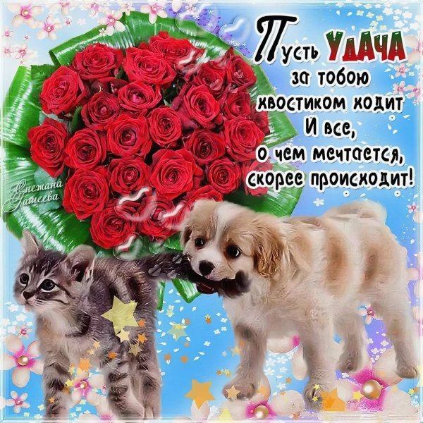 Пожелания удачи и успеха