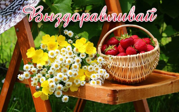 Цветы для выздоровления