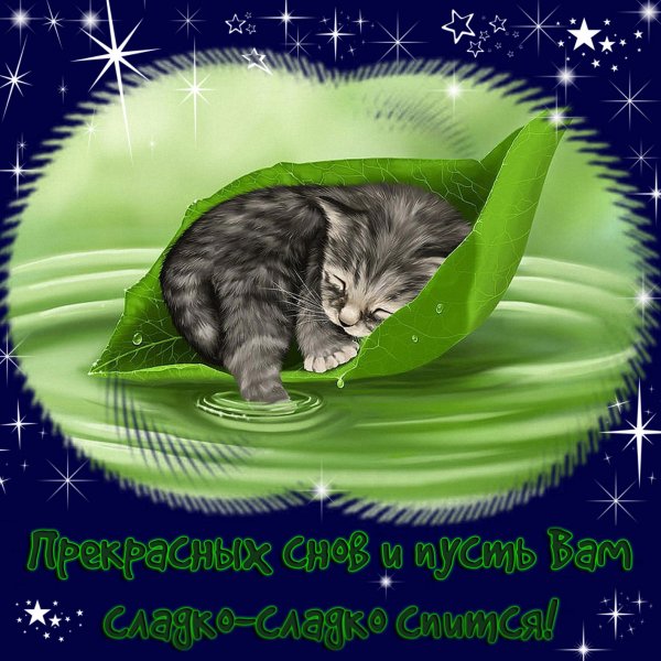 Спокойной ночи сладких снов