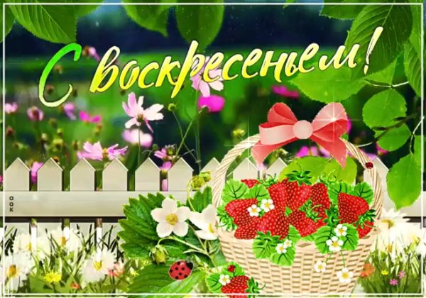 Счастливого воскресенья