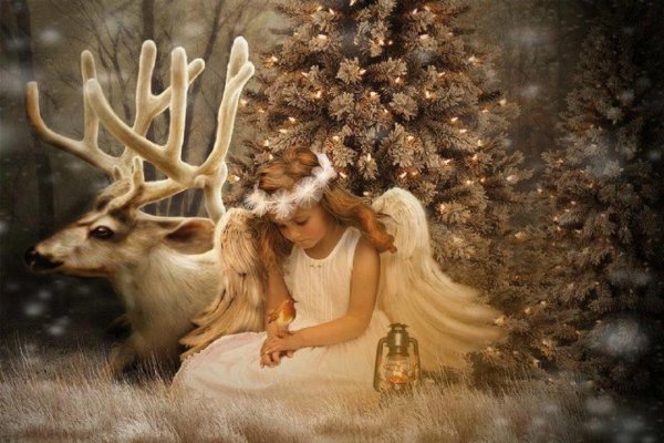 Олень девочка