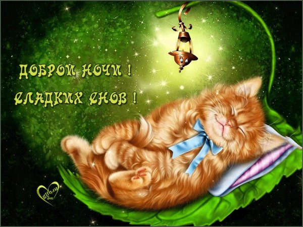 Доброй ночи сладких снов