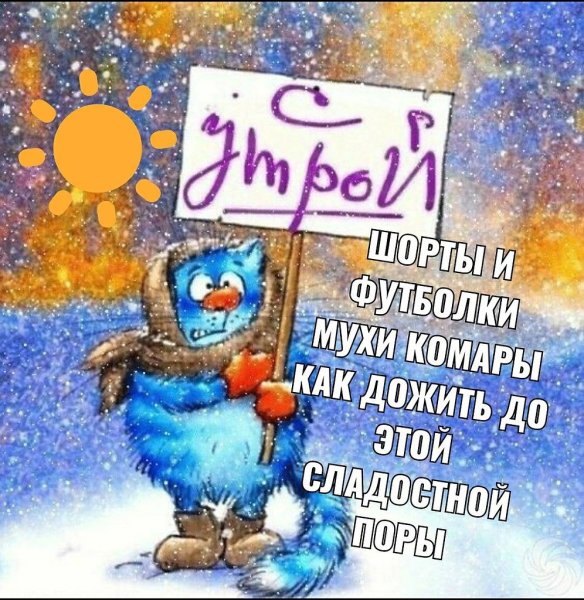 С утрой синий кот