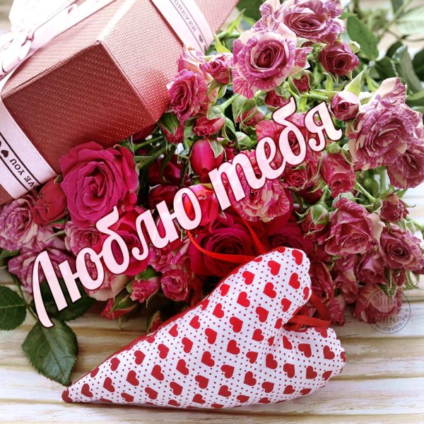 Стихи любимой девушке