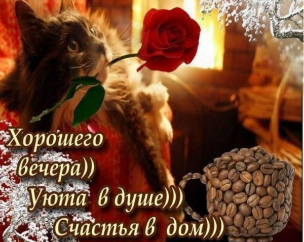 Открытки с пожеланием доброго вечера