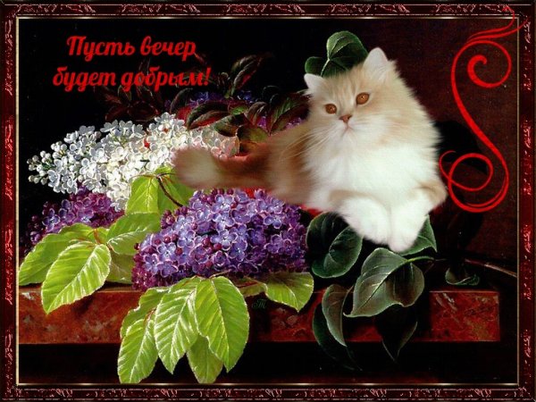 Открытки добрый вечер красивые