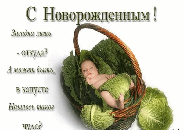 Поздравление сноворожденым