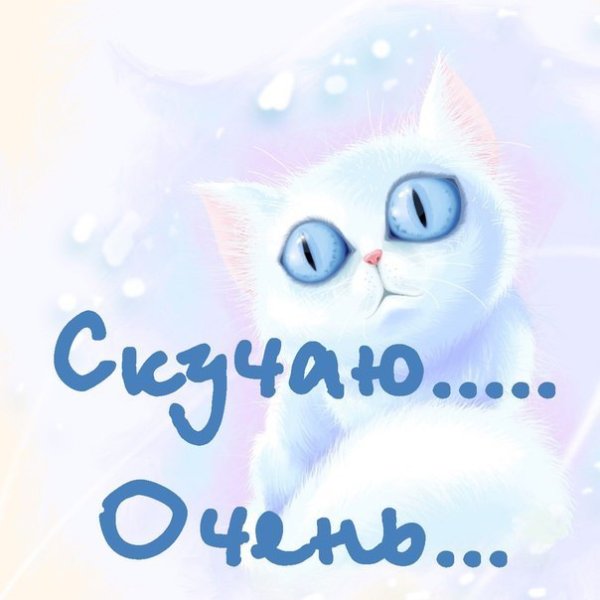 Целую обнимаю скучаю