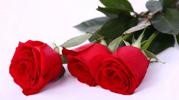 Montale: Aoud Red Flowers 50ml