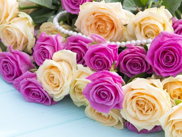 Красивые розы