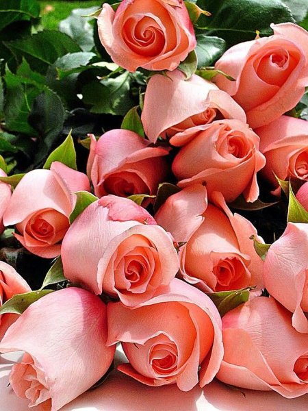 Красивый букет роз