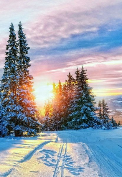 Картина зима