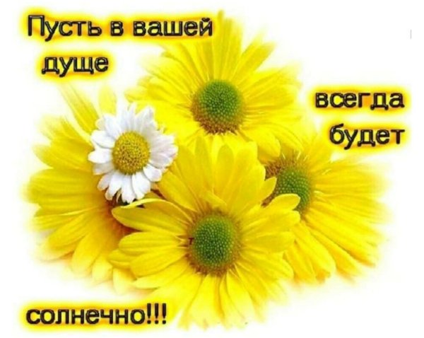 Пусть на душебулет тепло