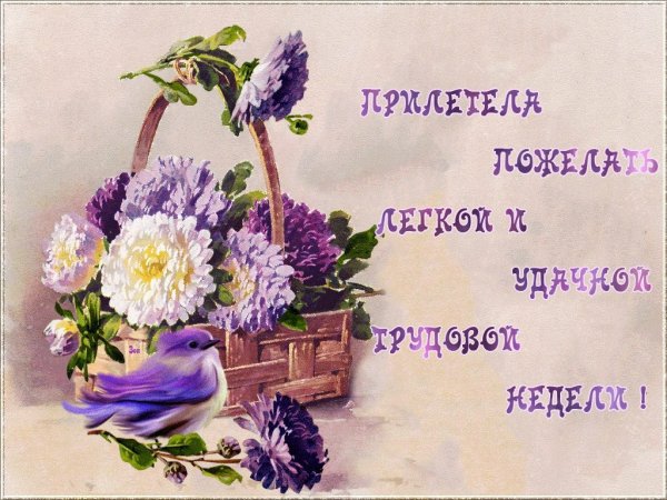 Пожелания на каждый день