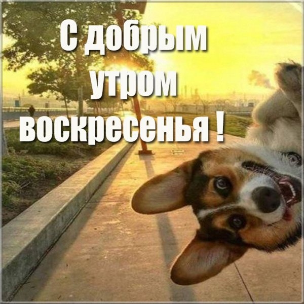 Доброе утро кофе