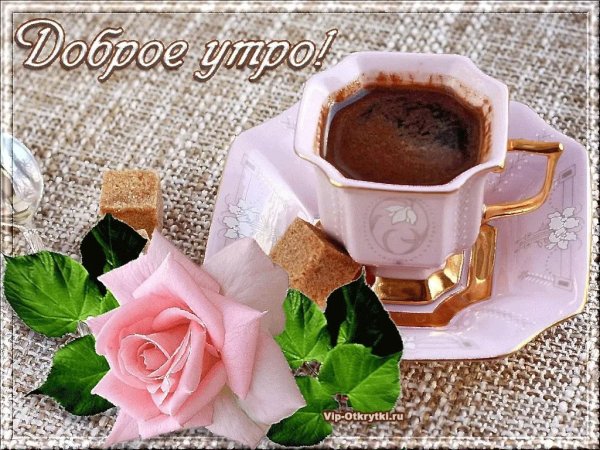Тик-ток с добрым утром