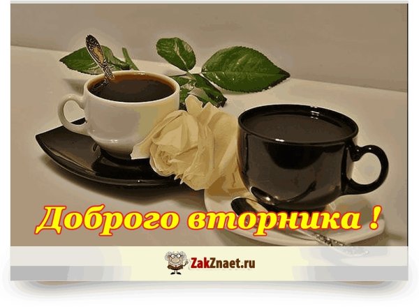 С добрым утром вторника