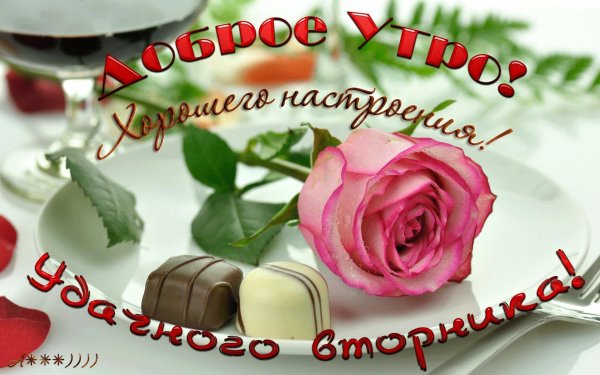 Поздравления со вторником