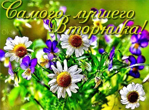 Чудесного вторника и отличного настроения