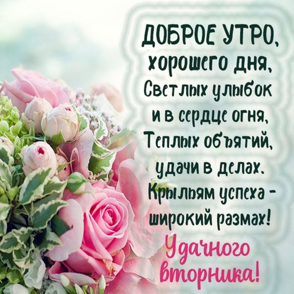 Открытки с добрым утром вторника