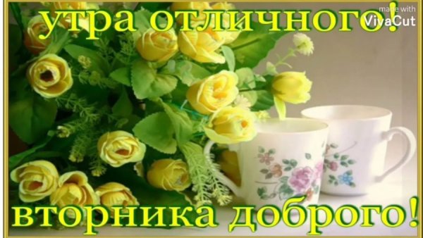 Доброе утро вторника красивые пожелания