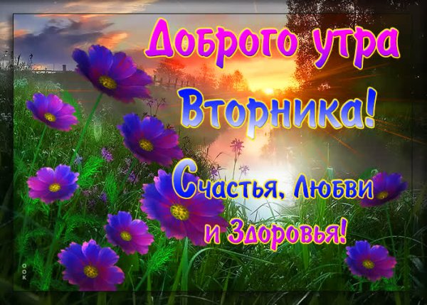Доброе утро вторника