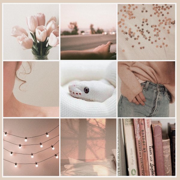 Эстетика софт из пинтереста