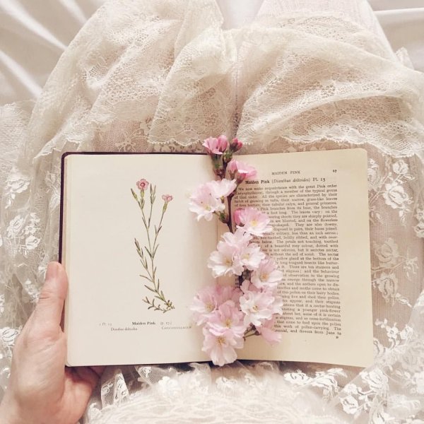 Книги в пастельных тонах