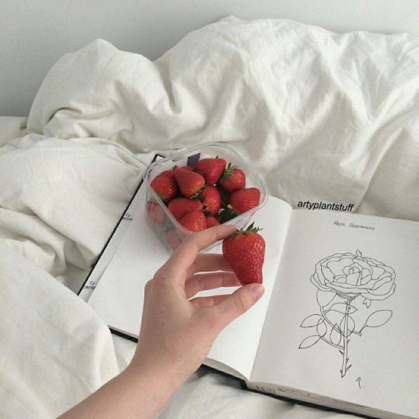 Эстетика красного и белого цвета