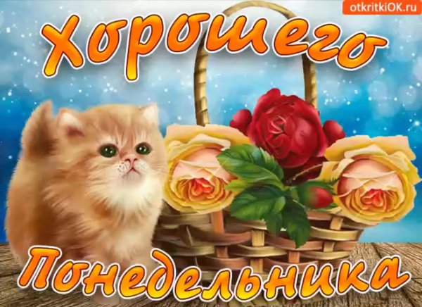 Привет хорошего понедельника