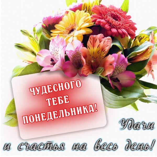 Доброго понедельника