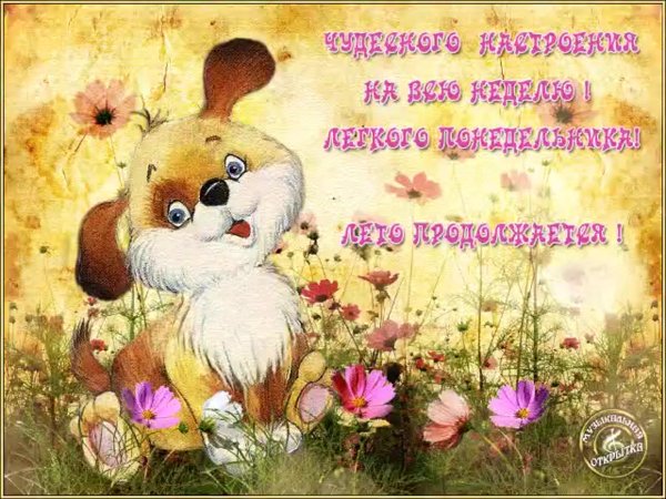 Лёгкого понедельника и хорошего дня