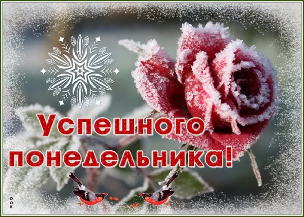 Хорошего зимнего понедельника