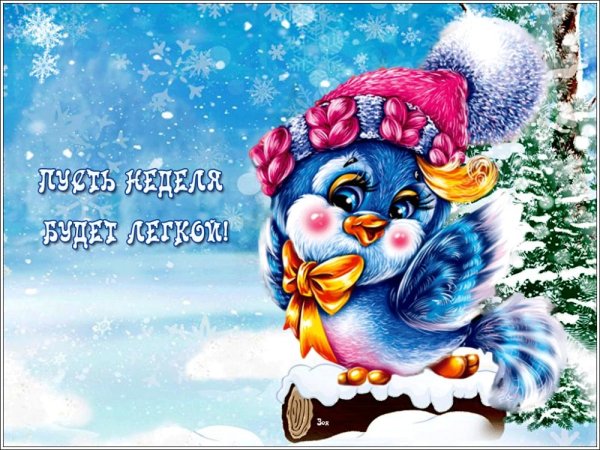 Открутки щимн е с понелельником