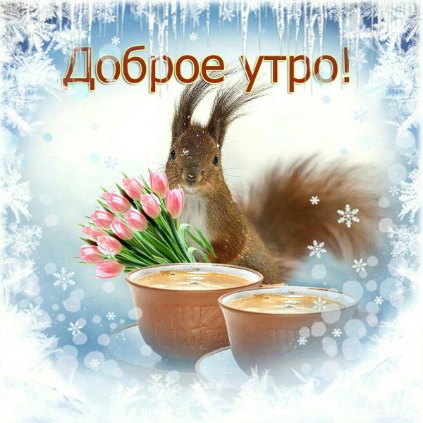 Доброго зимнего утра и хорошего дня прикольные