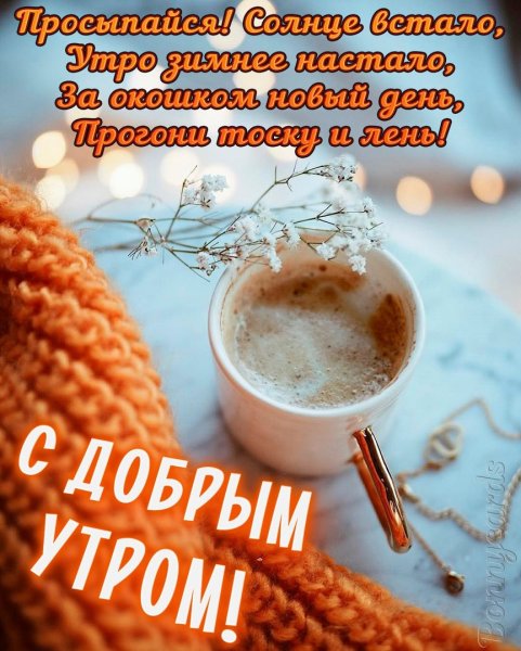 Открытки с добрым утром понедельника