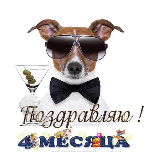 4 Месяца мальчику поздравления