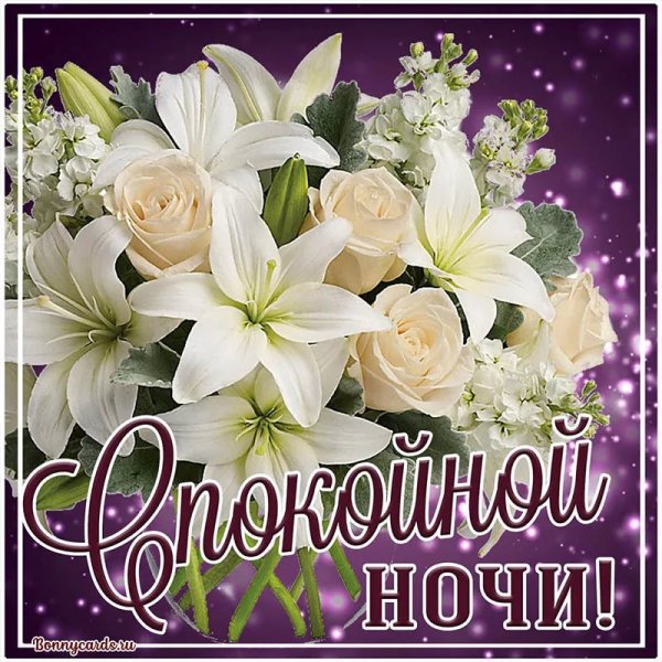 Открытки спокойной ночи женщине