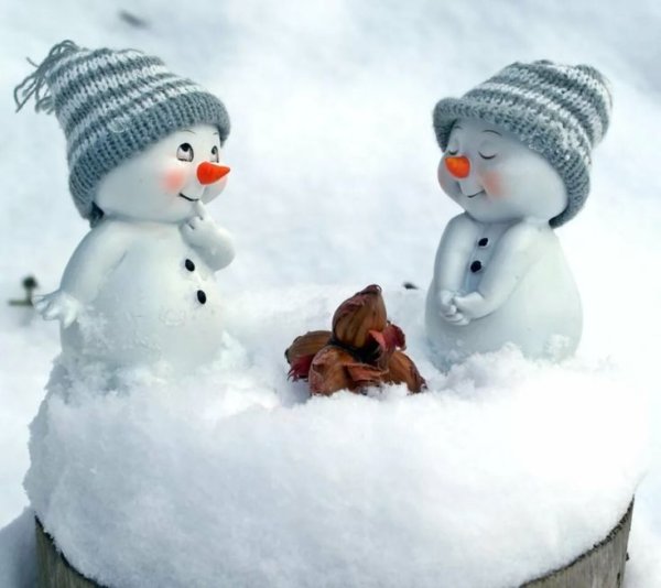 Доброе морозное утро