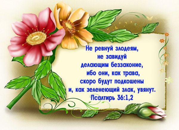 Цитаты свидетелей Иеговы Библейские