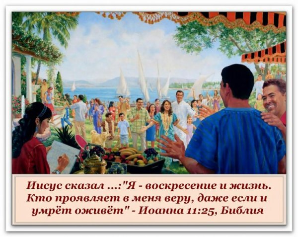 Стихи свидетелей Иеговы