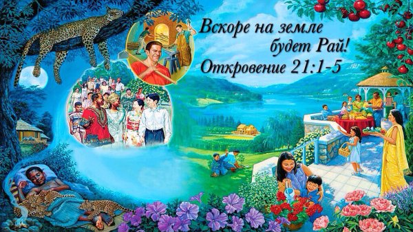 Творчество свидетелей Иеговы стихи