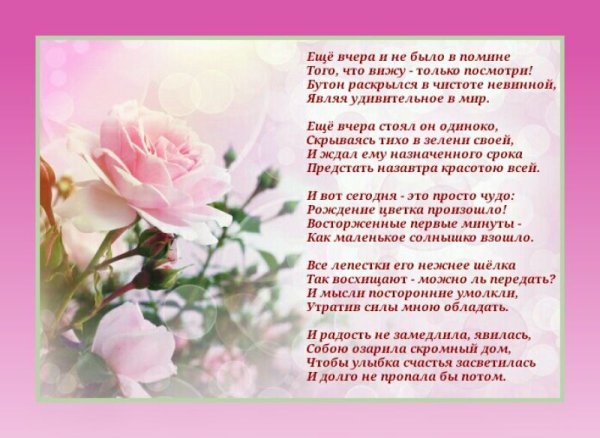 Цитаты из Библии свидетелей Иеговы