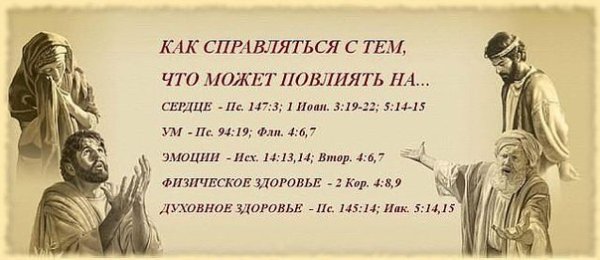 Библейский точный опыт скин