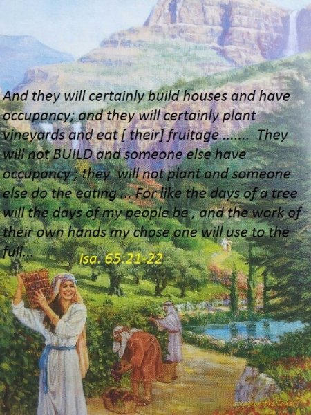 Савл фарисей