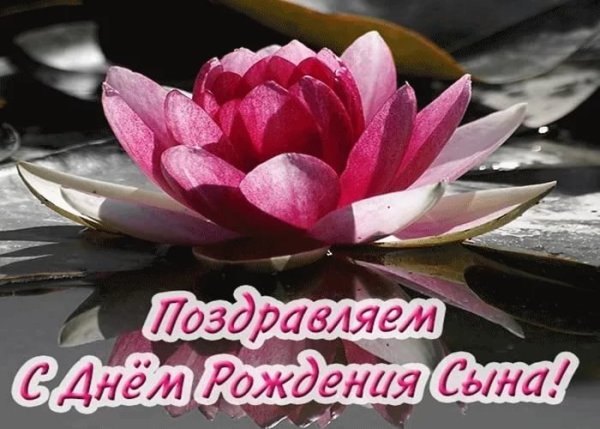 С днём рождения сына маме