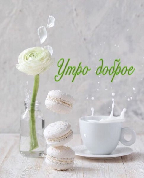 Хорошего дня картинки стильные модные