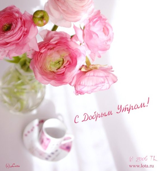 Современные открытки хорошего дня