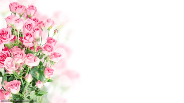 Открытка цветы